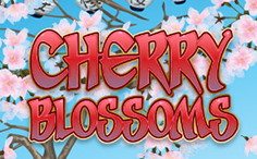 Cherry Blossoms Slot