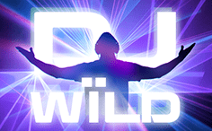 DJ Wild Slot 