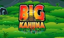 Big Kahuna Slot