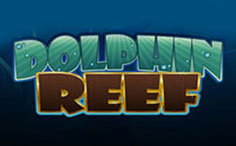 dolphin-reef