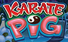 karate-pig