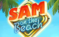 sam-on-beach