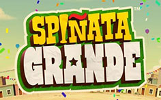 spinata-grande